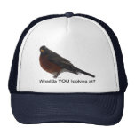 Petirrojo duro gorros  