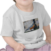 Petirrojo en la foto del pájaro de la repisa camiseta