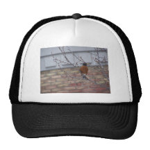 Petirrojo Gorro