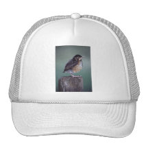 petirrojo gorro de camionero