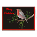 Petirrojo Redbreast Tarjetas