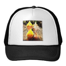 Petirrojos hambrientos del bebé gorra