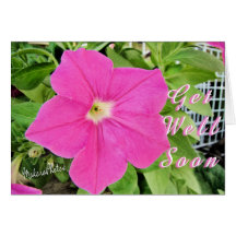 Petunia-Consiga el personalizar Well- Tarjeton