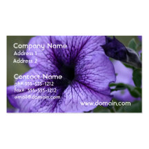 Petunia púrpura bonita tarjetas de visita