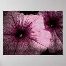 Petunias texturizadas en negro y rosa posters