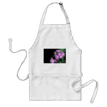 phacelia púrpura delantales