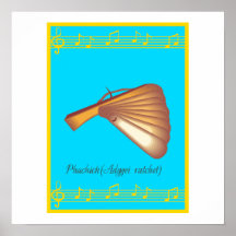 phachich poster