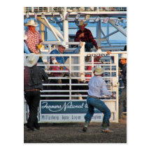 Phillipsburg, rodeo 2007 de Kansas Tarjetas Postales