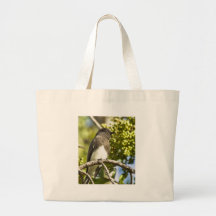 Phoebe negro bolsas lienzo