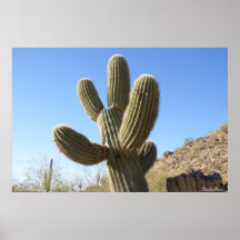 Phoenix, Arizona Impresiones
