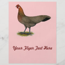 Phoenix:  Gallina del rojo del BB Tarjetas Informativas