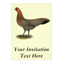 Phoenix:  Gallina del rojo del BB Comunicado Personal