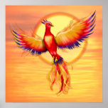 Phoenix que sube - cuadrado poster