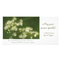 Photocard de la escritura del 29:2 del salmo tarjeta fotografica personalizada