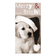 photocard del navidad del perro tarjetas fotográficas personalizadas