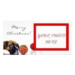 Photocard del perrito del boxeador de las Felices  Plantilla Para Tarjeta De Foto