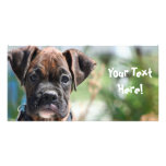 Photocard del perrito del boxeador tarjeta fotográfica personalizada