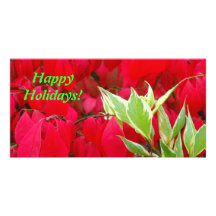 Photocard rojo y verde tarjeta fotográfica personalizada