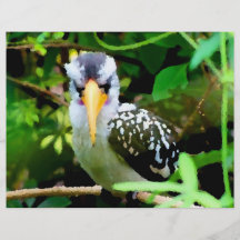 pico amarillo blanco negro del pájaro contra el ve tarjetas publicitarias