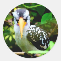 pico amarillo blanco negro del pájaro contra el ve pegatina