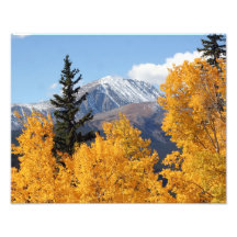 Pico de Aspen Fotografias