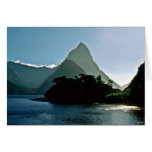 Pico del inglete, Milford Tarjetón