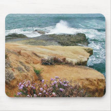 Piedra arenisca de las olas oceánicas de las playa tapete de raton