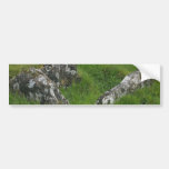 Piedras de las tumbas de Irlanda Etiqueta De Parachoque