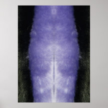 piel de la raya posters