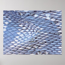 Piel de serpiente Poster1