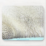 PIEL del OSO POLAR, DÍA DE LA TIERRA Mousepads Tapetes De Raton