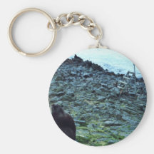 Piel del sello llavero personalizado