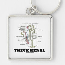 Piense renal (riñón Nephron) Llaveros