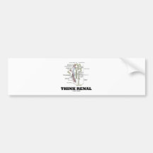 Piense renal (riñón Nephron) Etiqueta De Parachoque