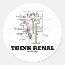 Piense renal (riñón Nephron) Pegatinas Redondas