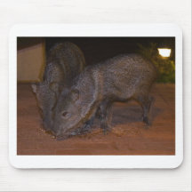 Piggies de Javalina Tapete De Raton