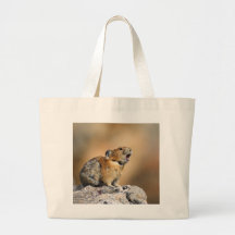Pika Bolsa De Mano
