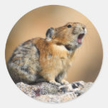 pika etiqueta