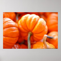 Pila de la calabaza posters