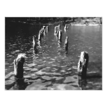 Pilas en el agua - foto