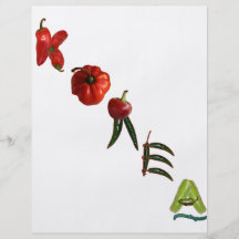 Pimientas de chile de Corea Flyer Personalizado