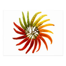 Pimientas del chile picante tarjetas postales