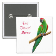 Pin afrontado rojo del Macaw