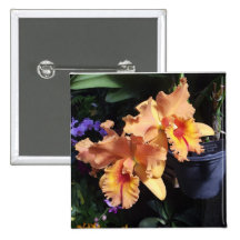 Pin anaranjado del ramillete de la orquídea