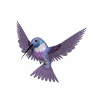 Pin colorido del colibrí del KRW esculturas fotograficas