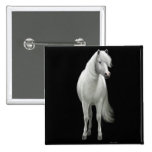Pin del caballo blanco