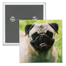 Pin del cuadrado del perrito del barro amasado