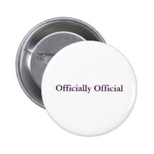 Pin del funcionario