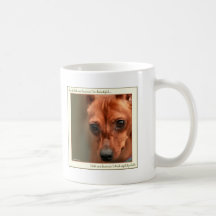 Pin del minuto hermoso: Agilidad Tazas