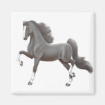 Pin negro del caballo de Saddlebred del americano Imanes